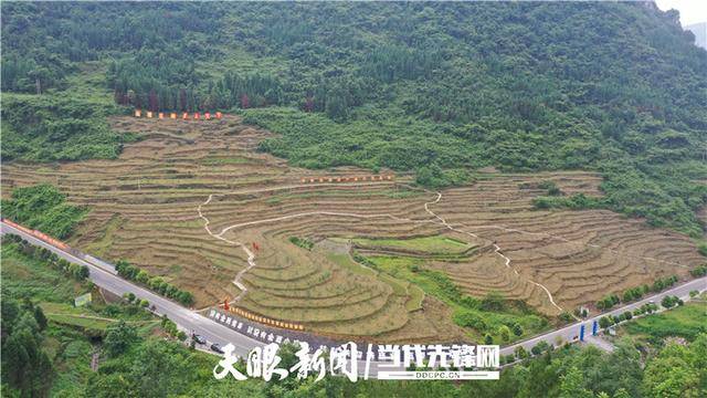 遵义庙塘:小花椒"富农"两步走_庙塘镇