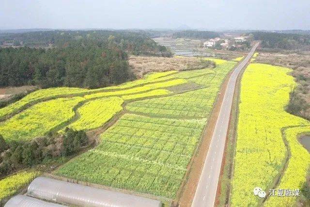 江夏这个地方获评省级示范乡镇!_蔡甸区