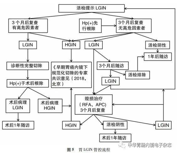 胃低级别上皮内瘤变规范化诊治专家共识2019北京