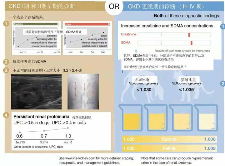 影像学检查(b超)等.