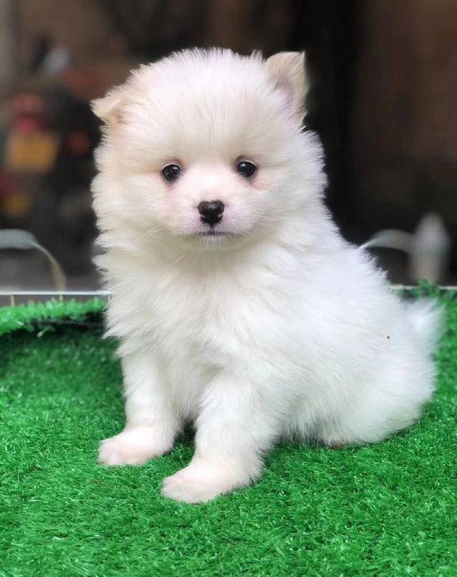 不知道你向往的爱情是什么样子,可是我只能给你这么多,你要走我送送你