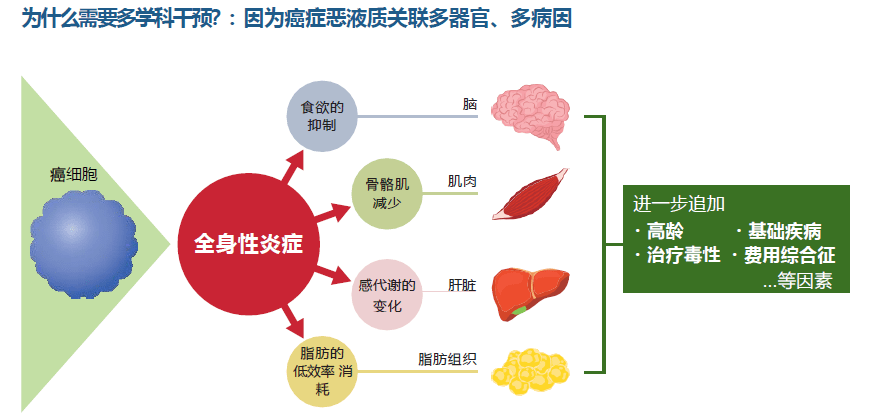 癌症恶液质症状及治疗