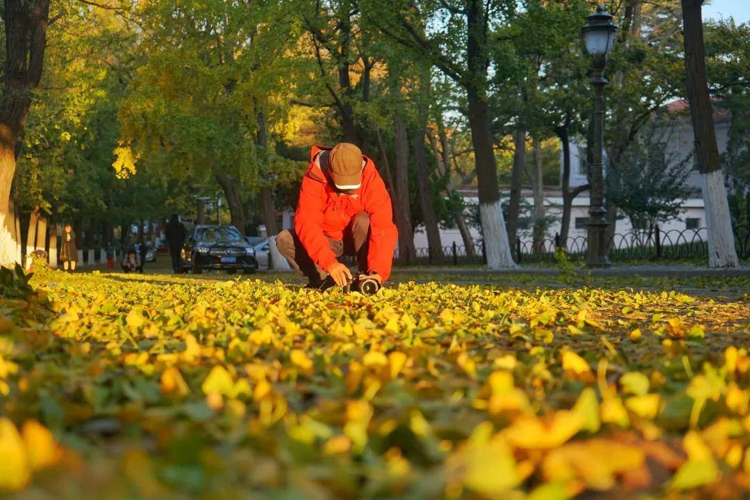 即将告罄!_姜兆荣