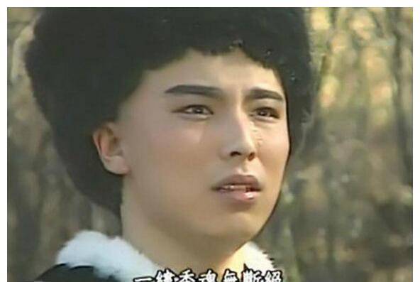 《雪山飞狐》30年今昔对比,全剧神仙颜值,最坎坷竟是男女主演