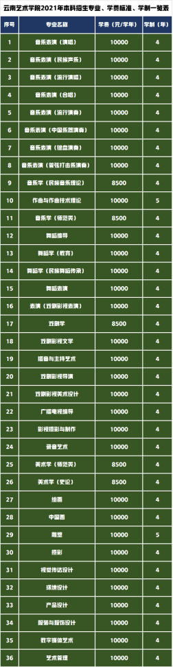 云南艺术学院2021年招生计划,录取专业及录取分数线是