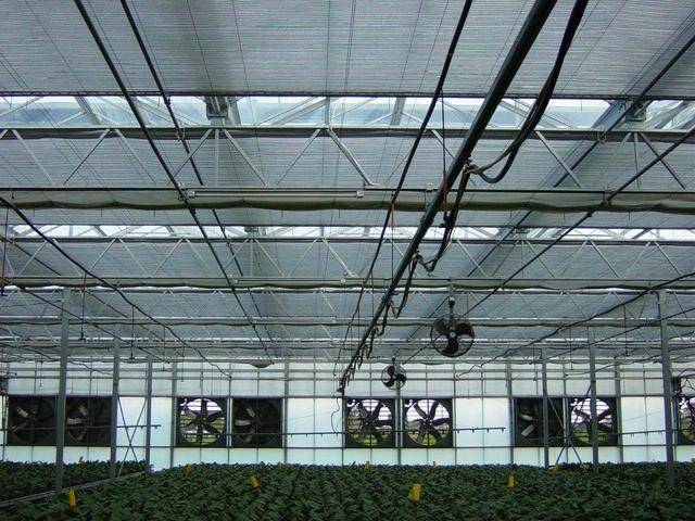 温室大棚负压风机水帘系统通风降温应用