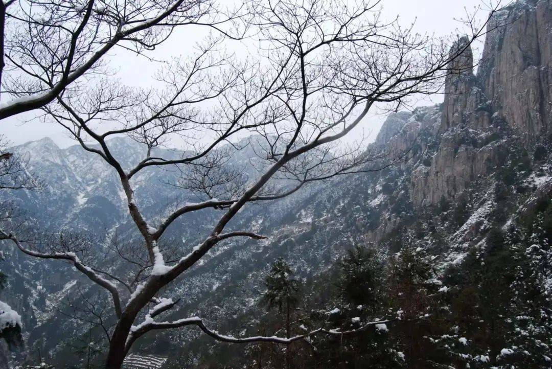 雁荡山雪景gift of season是朝霞是晚风是晨起的一碗白粥是傍晚的