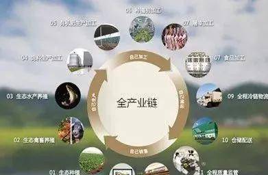 乡村振兴:13个投资重点领域与5大投入方式_农业_建设_资本