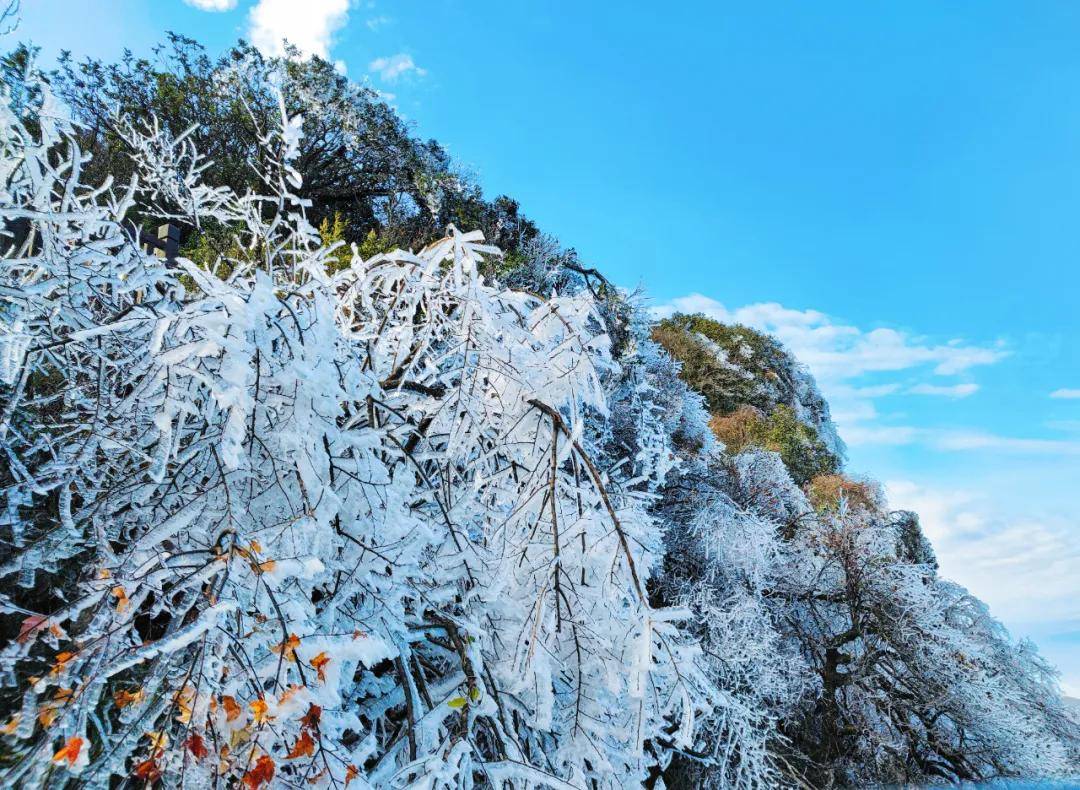 盼望了一个春秋,一个雪白浪漫的冬天金佛山滑雪泡温泉非去不可!