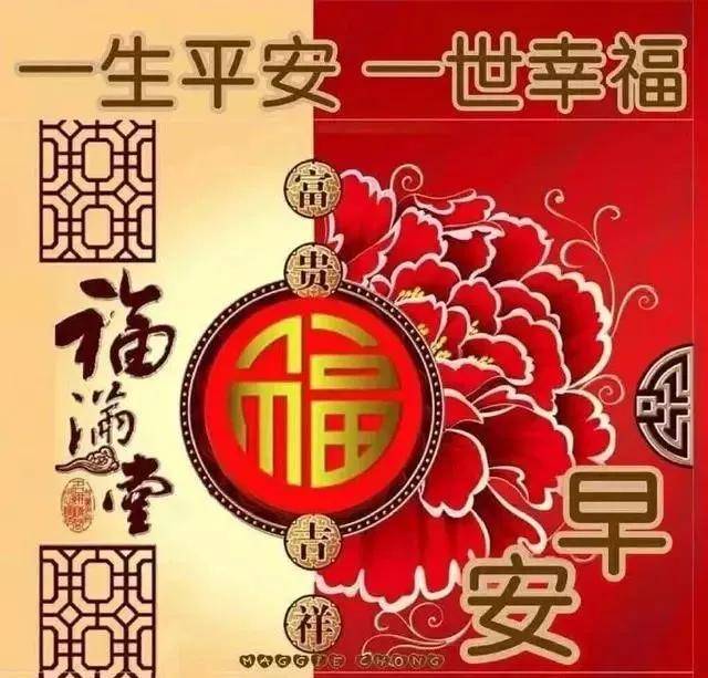 11月26日非常绝美的美女早安问候表情图片 早上好发圈