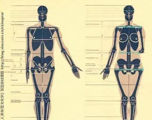 变美血泪史:99%的人讲的亚洲女性身材比例,都是错的?