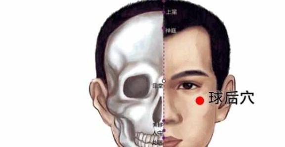 27个经外奇穴,个个都有自己特殊的作用_位置_穴位_中点