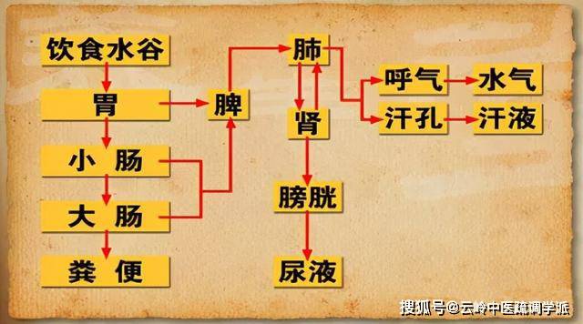 《疏调云讲堂》第六十八期 中医气机理论(二十七)_三焦_人体_气虚