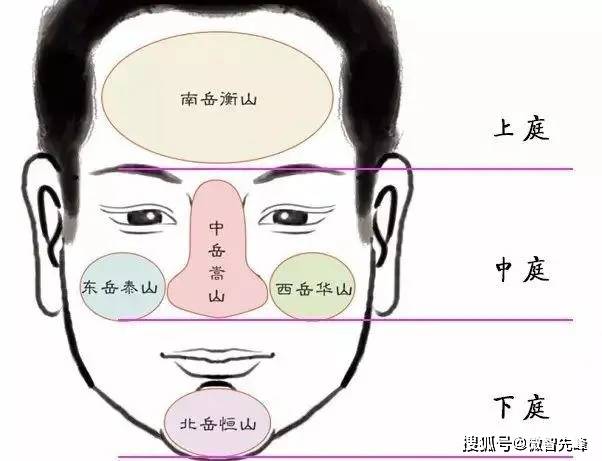 从面部看你一生运势起伏多少岁时是你人生黄金时期多少岁是低谷
