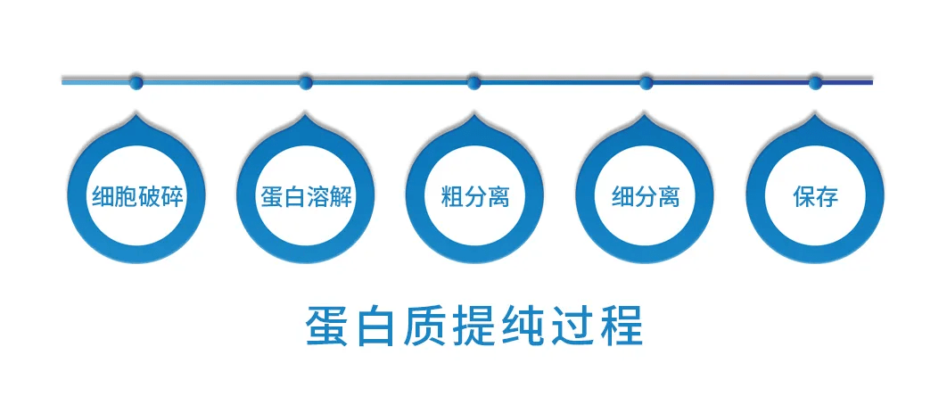 「舜甫科技」蛋白质提取的工艺与设备