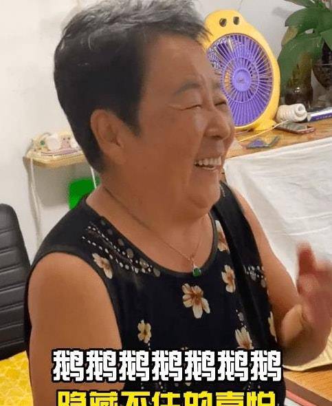 原创碎嘴田姥姥2年圈粉3500万年收入令人咋舌难怪都想当网红