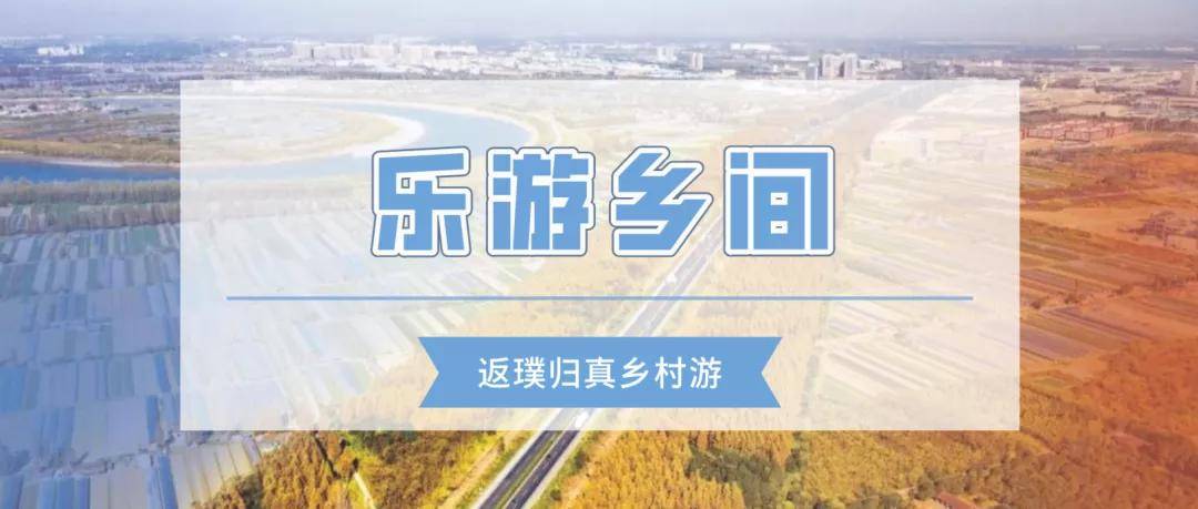 东西湖区最美旅游观光带,全长31公里,这几处必打卡!