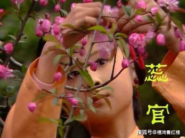 红楼里做粗活儿的丫头"十二官"都是谁?_贾蔷_小戏_黛玉