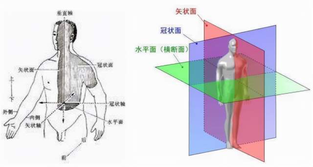 矢状位?轴位?是什么意思?