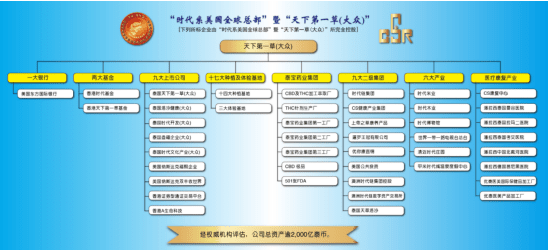 王鸿宾时代系靠谱吗时代系wtgc能赚钱吗