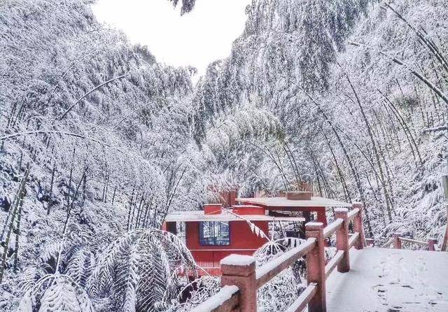 重庆这里迎来了雪季,白雪皑皑,一天打来回!_永川_茶山_景区