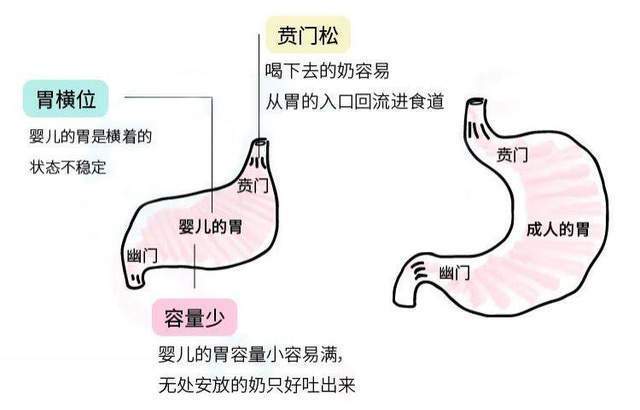 总喂总吃？当心＂楞喂＂撑住孩子,溢奶和吐奶就是这么喂出来的