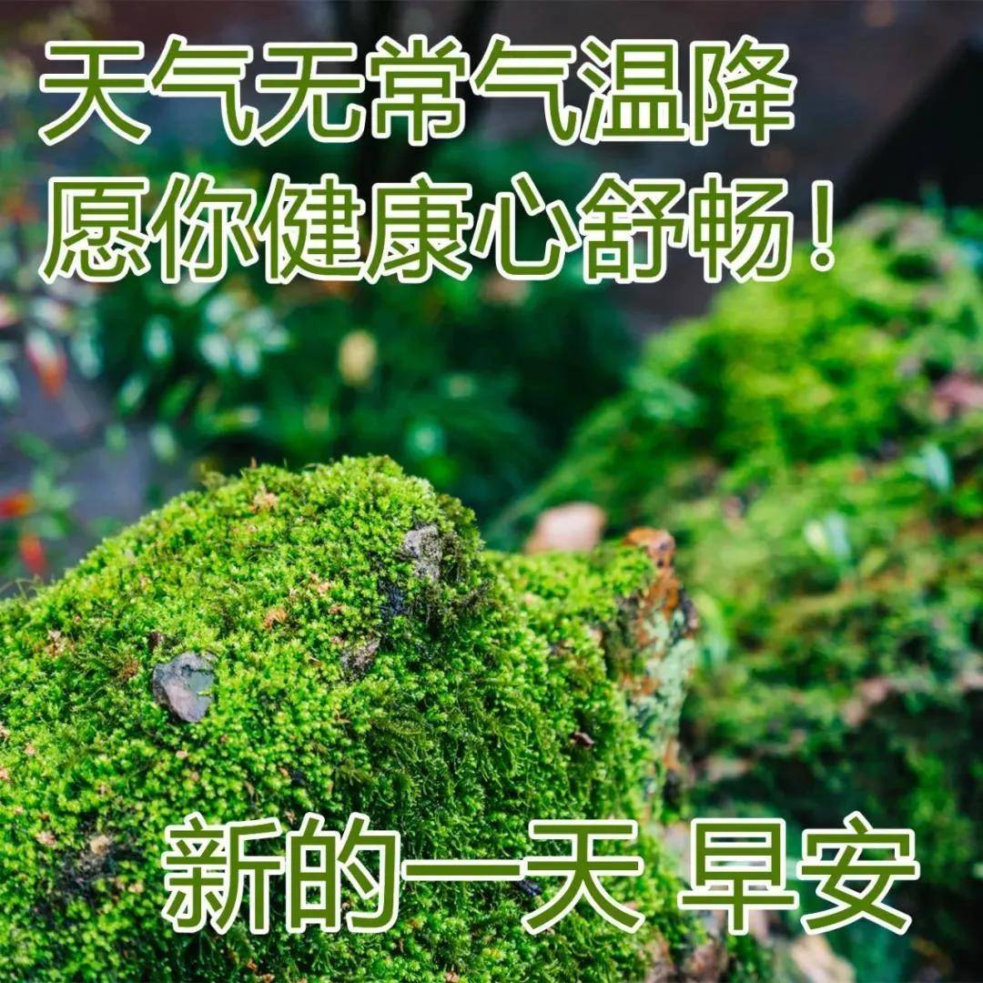 原创大年初十早上好动态表情图片大全正月初十祝福动画表情包图片