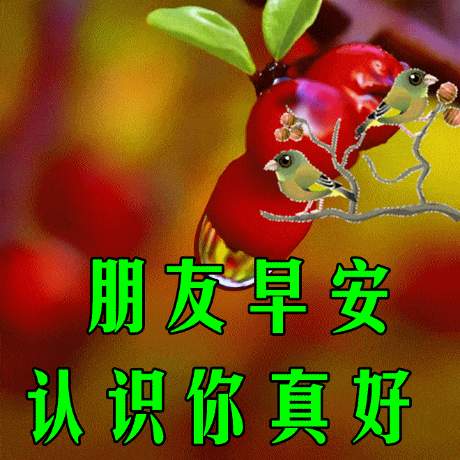 原创8张最漂亮的鲜花早安问候动画图片精选春天早上好问候祝福语图片