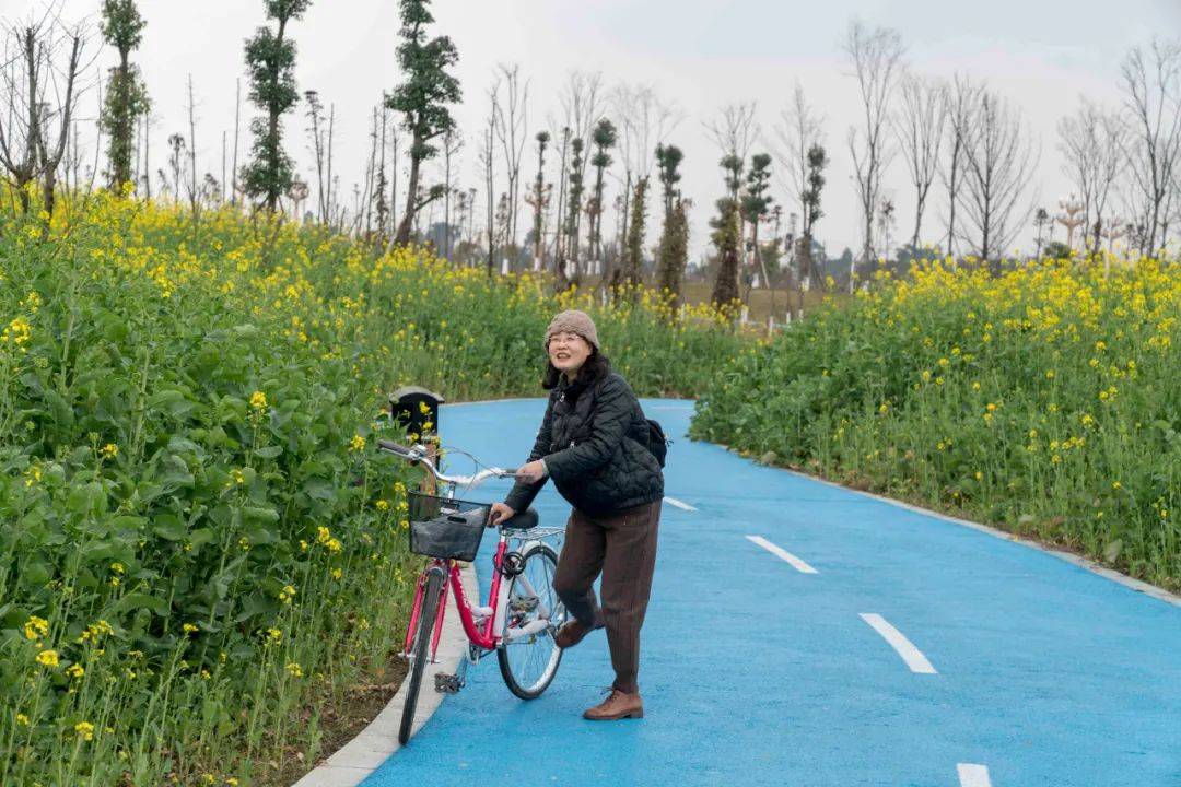 坐上彭山"油菜花专列",开往春天!_田野_金光淹