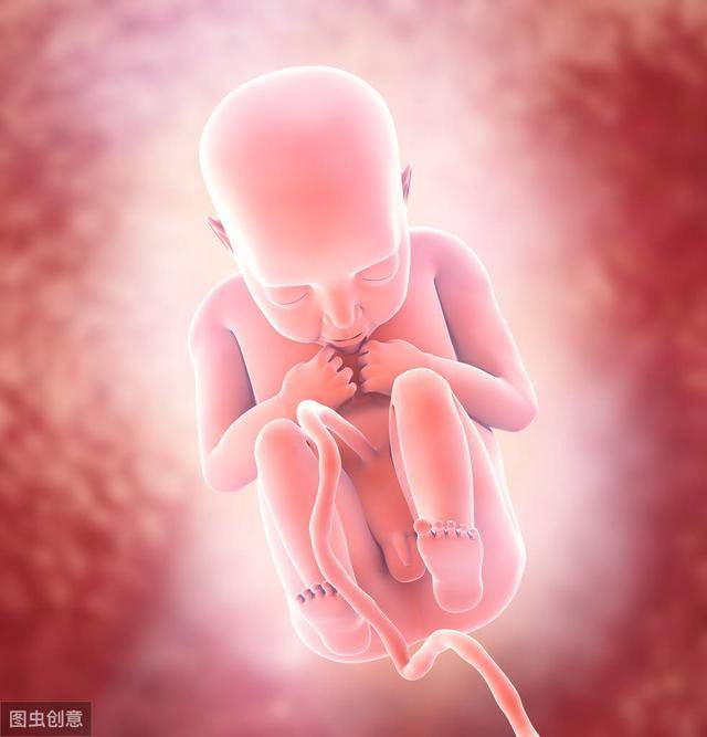 有趣胎儿在妈妈肚子里原来也是会有小动作的快来看看