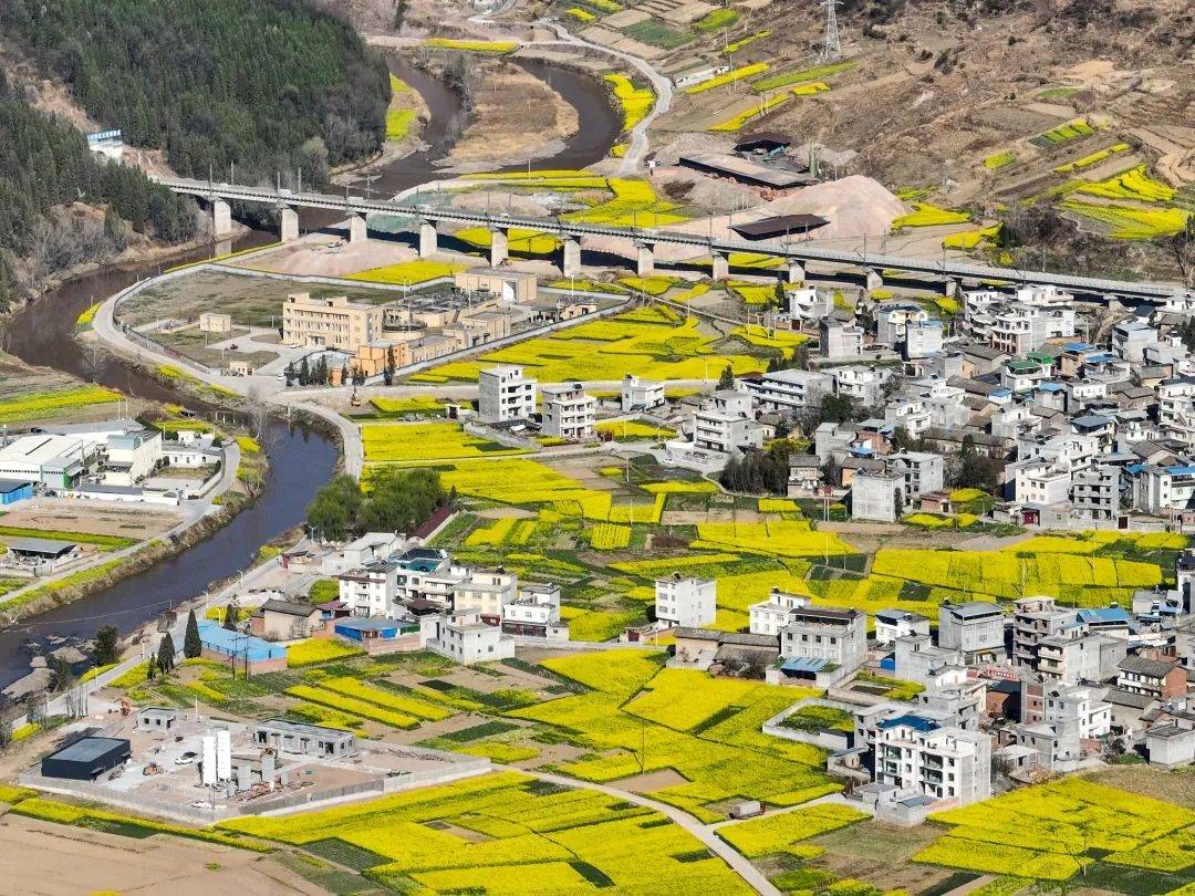 1,推荐赏花地址:越西县新民镇大屯村,越城镇白马村,大瑞镇挖布村.