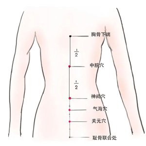 腹部穴位较多,诸如【气海穴,关元穴,神阙穴】等,可经常艾灸或刮痧,来