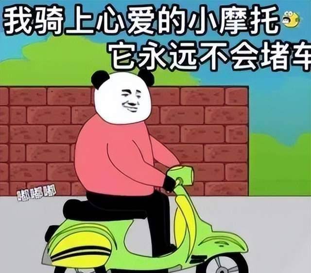 穷小伙"入赘""地主家"成就千万身价_小丽_小张_省城