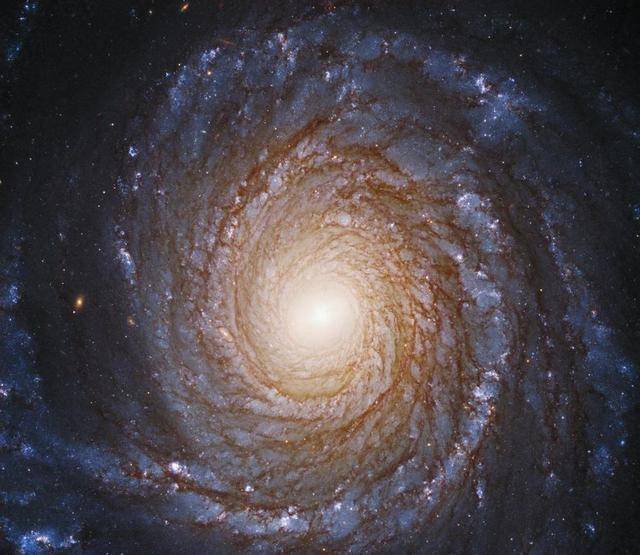 图注:在这张哈勃太空望远镜的照片中,壮观的螺旋星系ngc3147优雅而