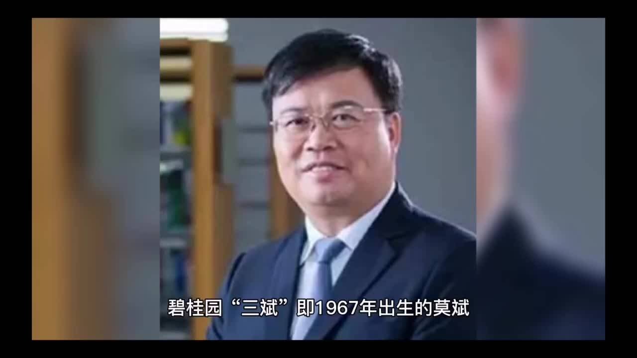 碧桂园三斌是谁学历越高职位越高吗现状及启示如何