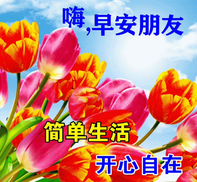 8张创意最美早上好动态图片表情带字和鲜花,2022免打字春日早安问候语