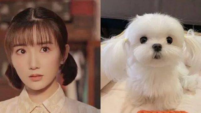 梳着可爱的小狗狗发型让人看了直呼想rua《乔家的儿女》中,毛晓彤再次