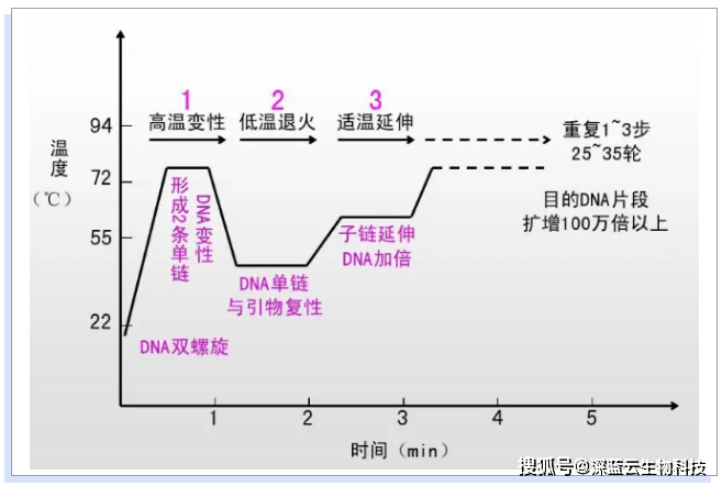 pcr原理pcr扩增影响因素及预防解决方案