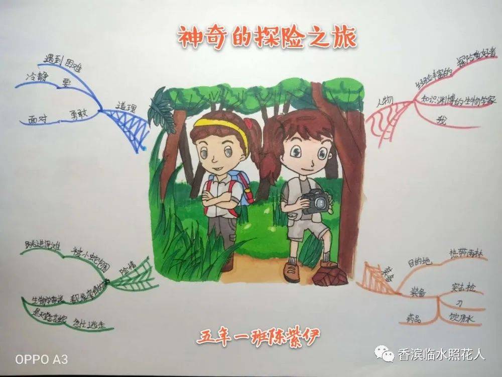 思维导图画作文胡艺馨神奇的探险之旅十二统编五下六单元习作