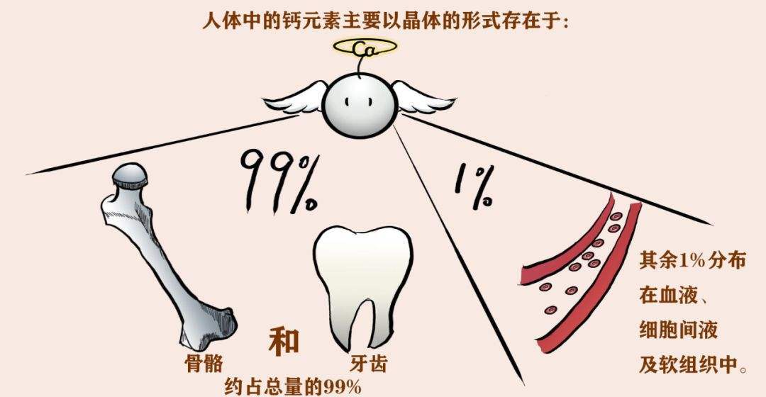 为什么总是钙吸收不良这5个因素影响钙吸收