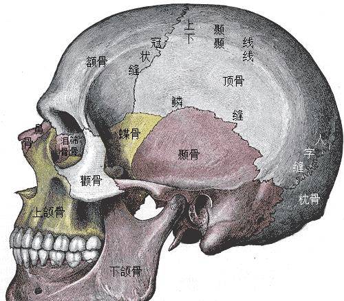 原创女明星扎堆剪短发的娱乐圈出圈霸榜竟然不靠脸