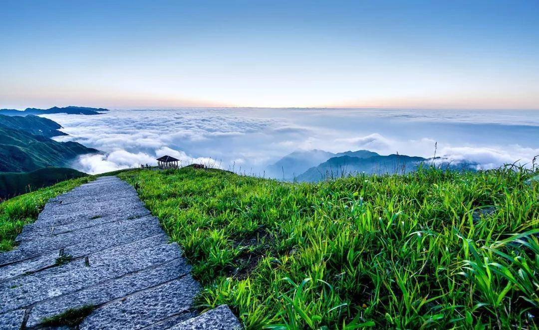 即日起,广东这些人去江西旅游任玩_景区_美景_庐山