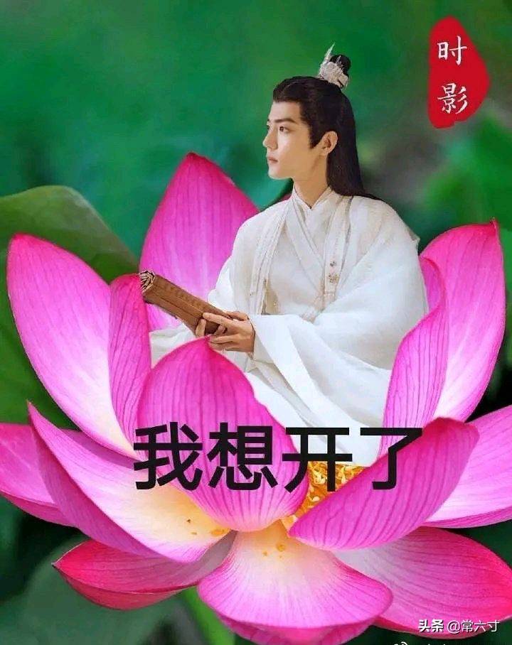 他都头顶莲花带着BGM来安慰你了 来自搜狐网