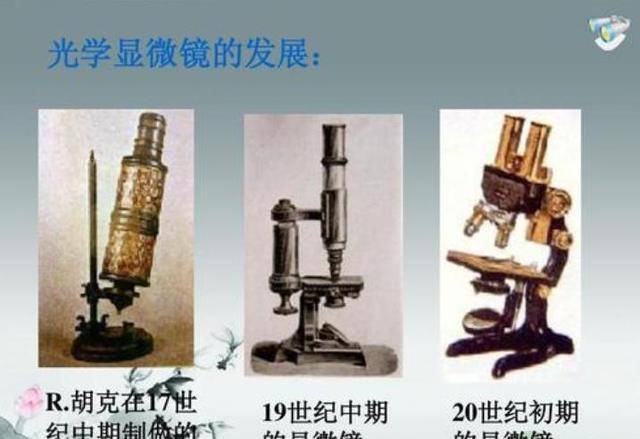 列文虎克:磨制500个透镜,首次发现精子,临终前做法让世人敬佩_显微镜