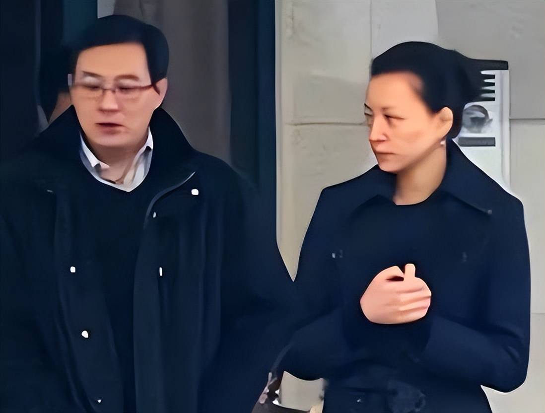 原创董卿老公密春雷及旗下公司被强制执行7亿多夫妻二人去向仍成谜