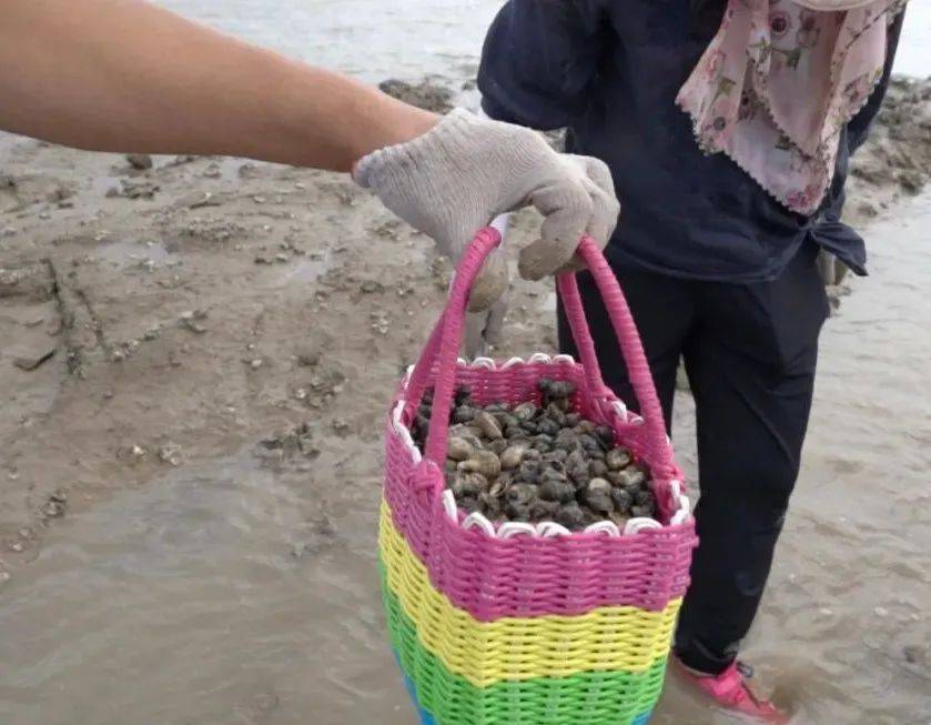 快来这,一起踏浪赶海吃海鲜~_泽库镇_活动_旅游