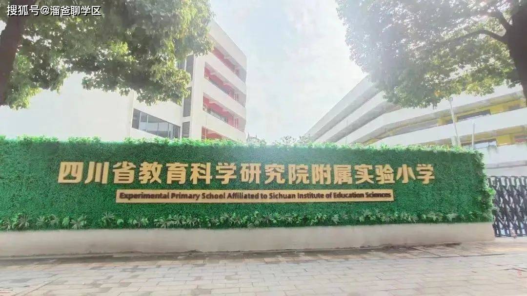 高新南区教育发展史_小学_成都_板块