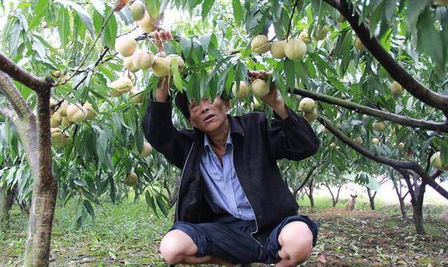 孙悟空嫌弃“弼马温”官小，现实大错特错，那可比齐天大圣牛多了