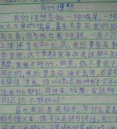 小学生奇葩作文，老师看完哭笑不得：孩子，你的理想是认真的吗？  小学作文 第4张