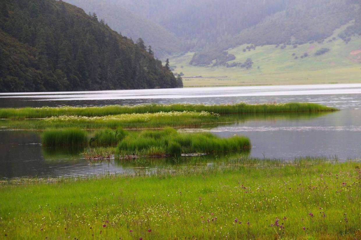 普达措国度公园，属都湖(环湖美景)